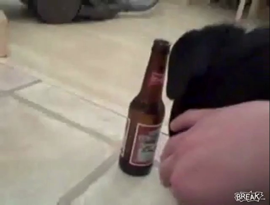 Hund möchte das Bier nicht hergeben