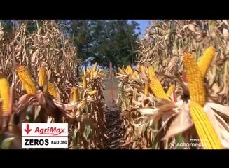 Agrimax - Zeros_ 334 _08.02.2014.