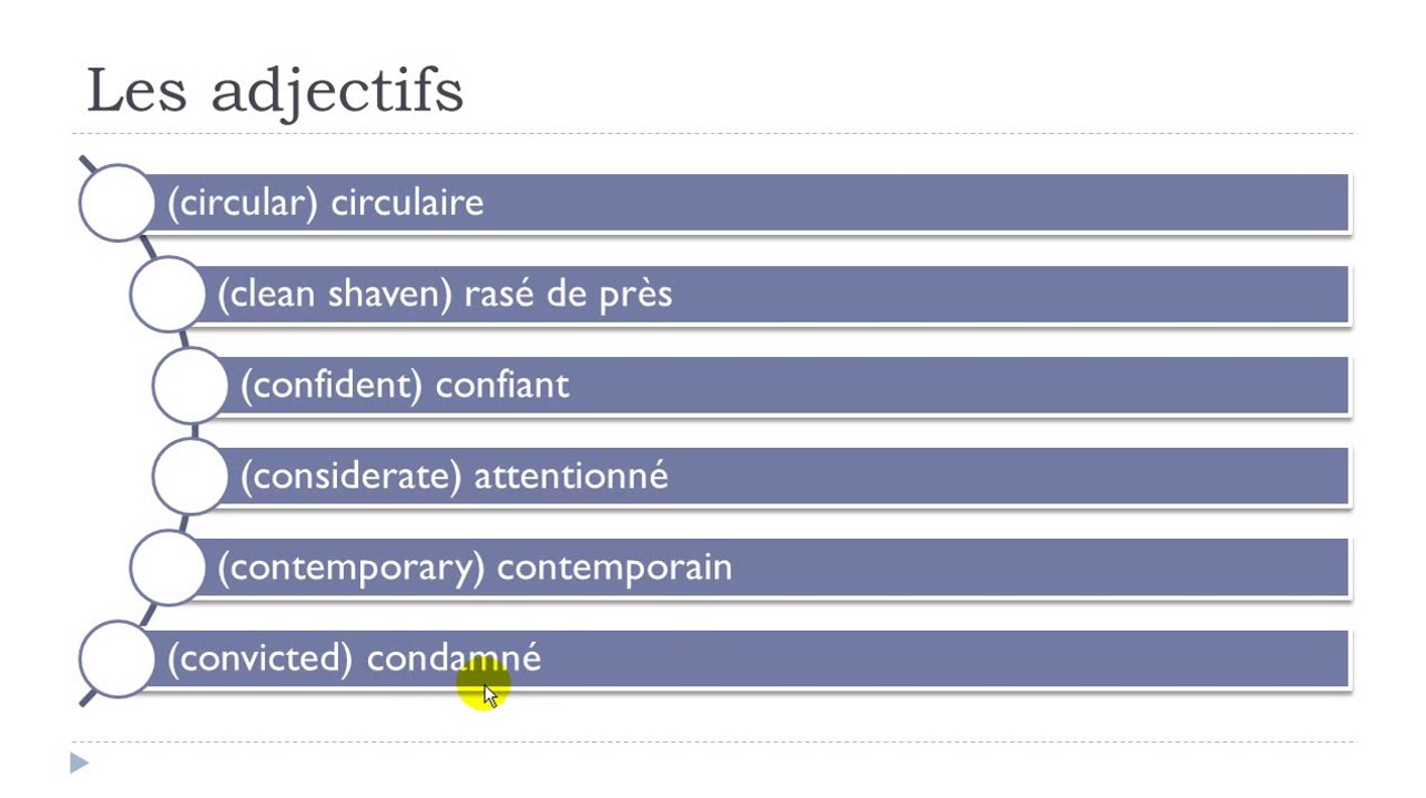 Learn French #Unit 9 #Lesson H = 120 adjectifs