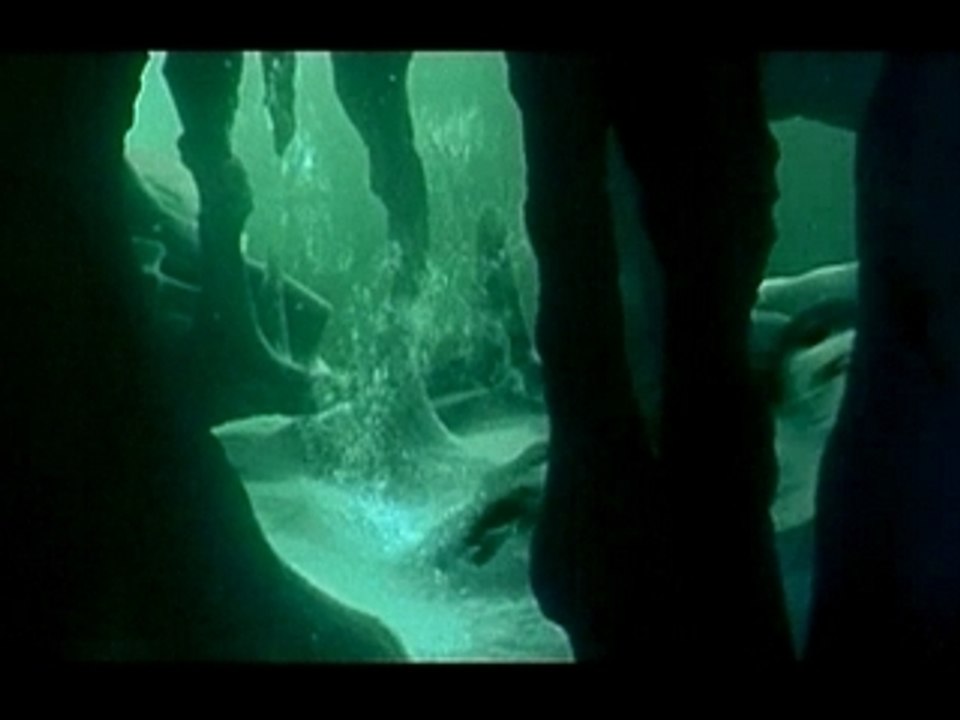 Happy feet bande annonce