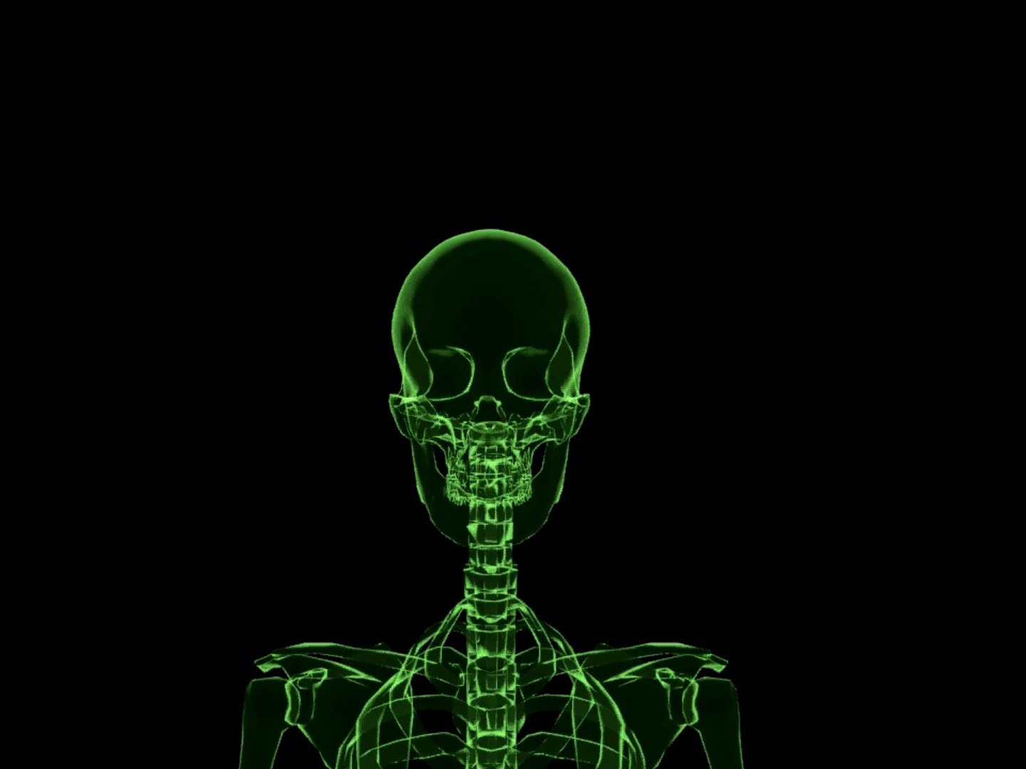 Prematuro auricular Empuje Skeleton Xray Animation 3D MAX - video Dailymotion