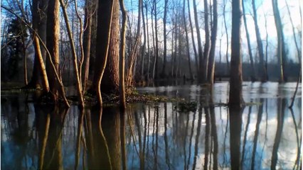 Le marais Poitevin 04