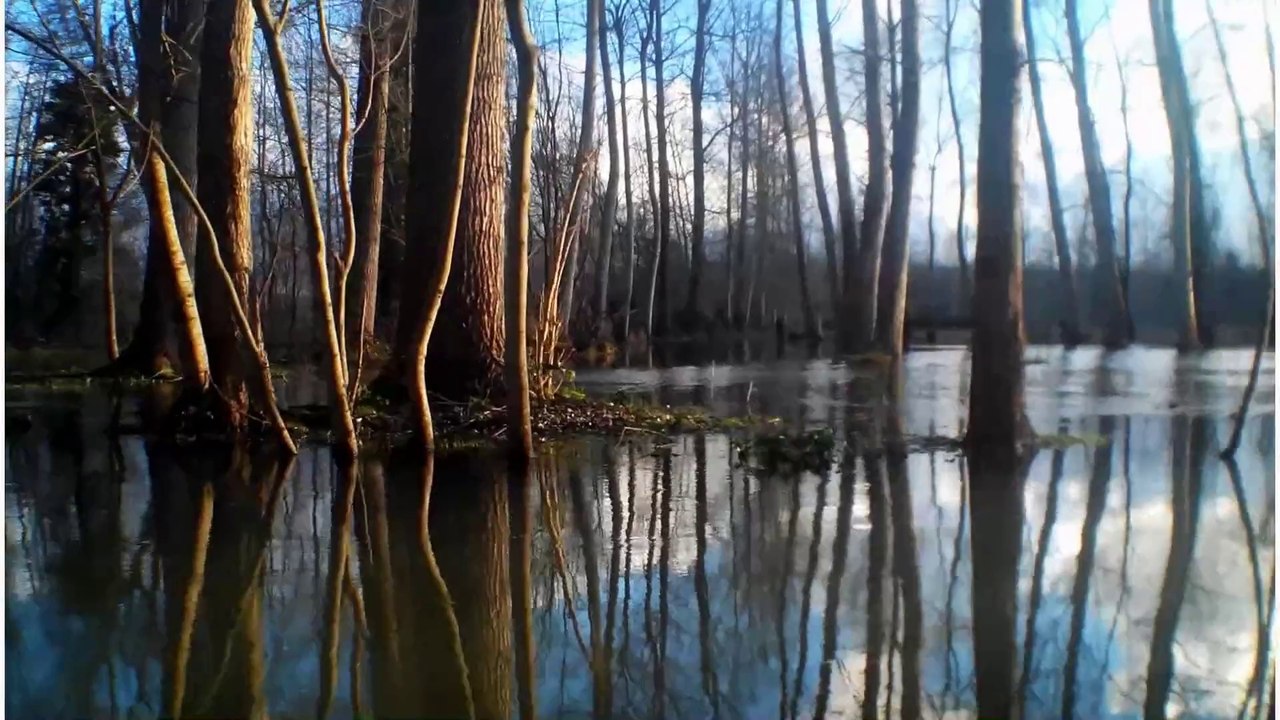 Le marais Poitevin 04