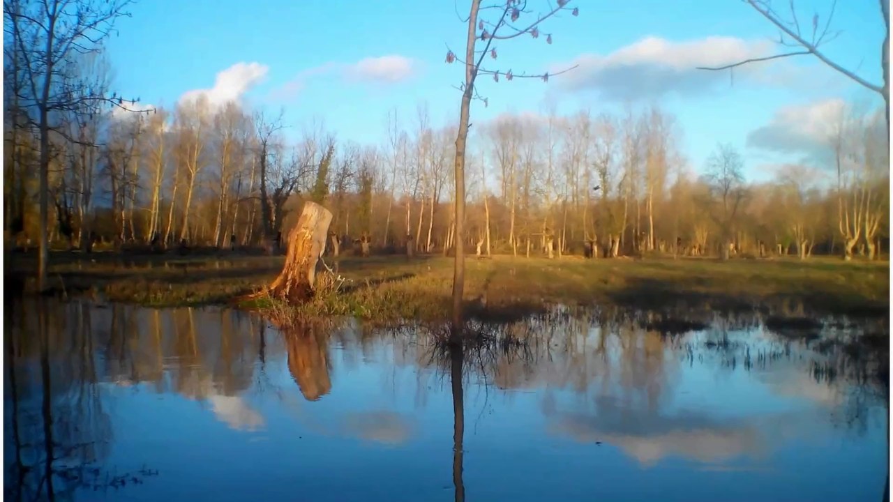 Le marais Poitevin 05