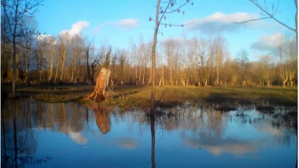 Le marais Poitevin 05