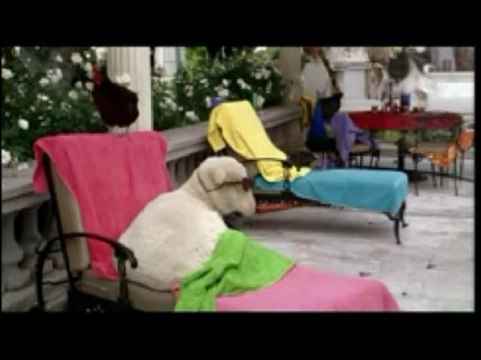 Trailers From Ice Age 2: The Meltdown 2006 UK DVD