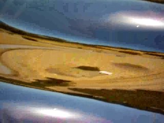 GoPro filma própria queda e aterrissagem em chiqueiro