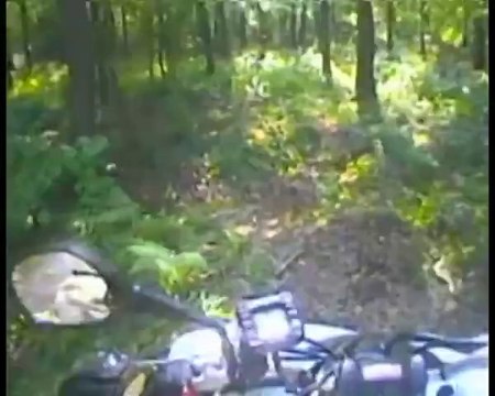 Yamaha YFM 250 R (2009)