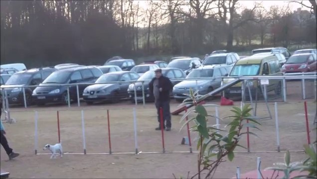 Foxy GPF Concours de cholet 02-2014