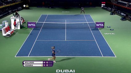 Piłka Venus zatańczyła na siatce