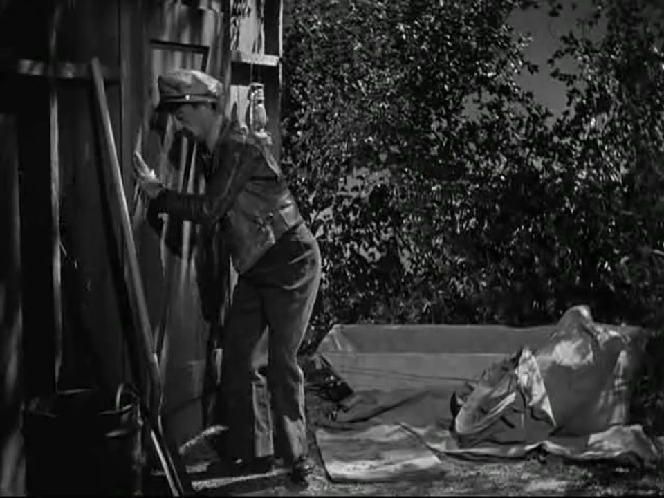 three pets in a mess_xvid