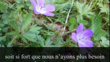 Prière pour l'estime de soi de Don Miguel Ruiz