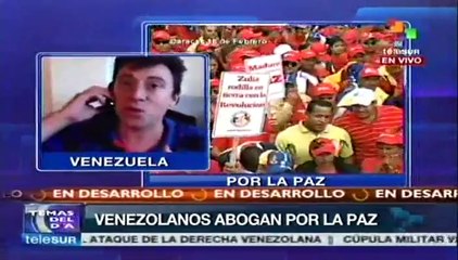El pueblo venezolano garantiza la paz en el país: analista
