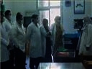 تقرير لوزارة الصحة المصرية عن مرض إنفلونزا الخنازير