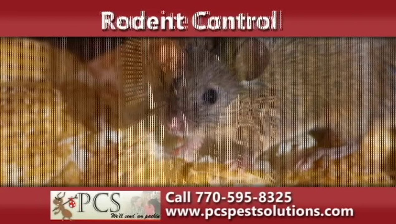 Pest Control Marietta, GA | PCS Pest Control Solutions