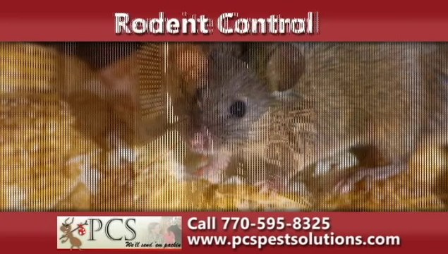 Pest Control Marietta, GA | PCS Pest Control Solutions
