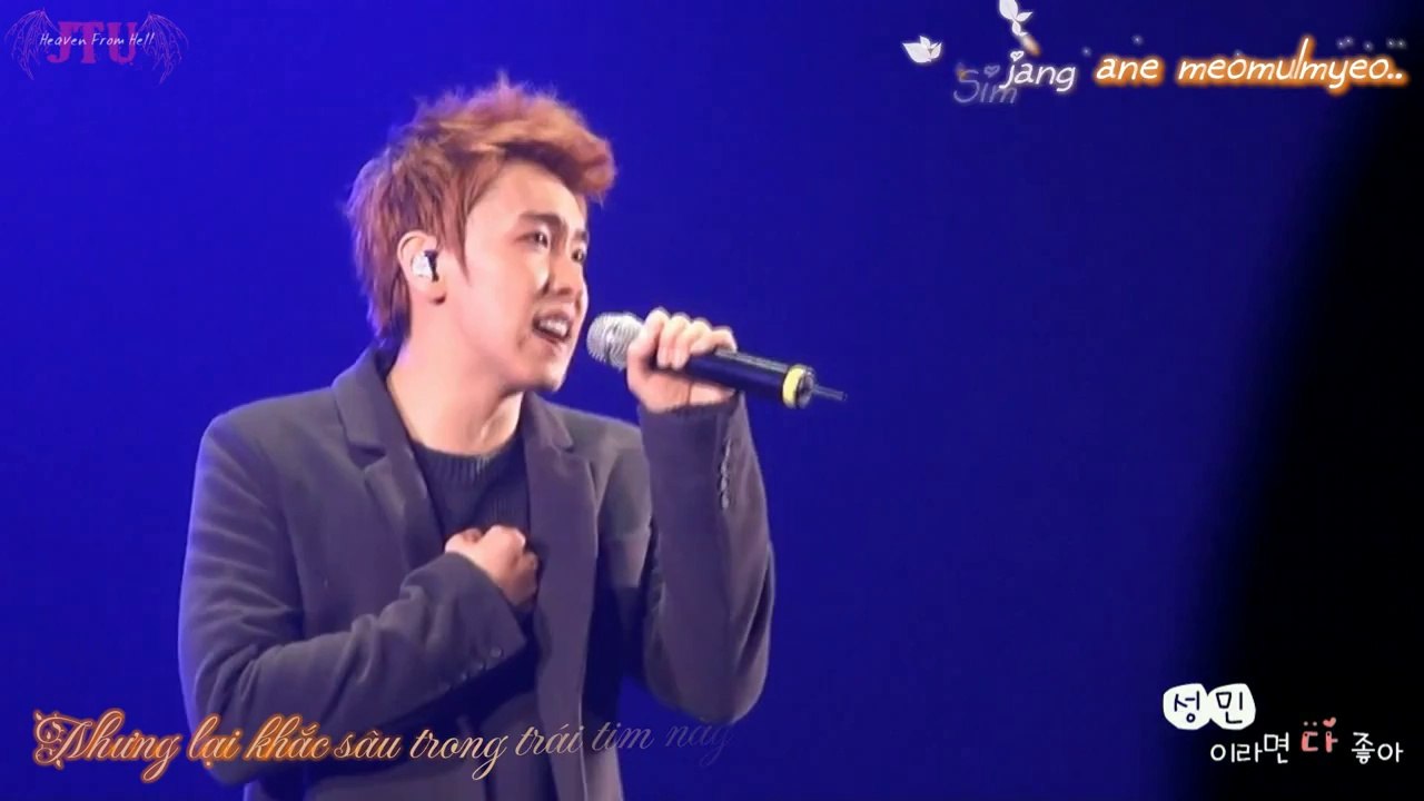 [JTU SubTeam][Vietsub++ Kara][Fancams mix] SS4 in Seoul - Muldeureo (Stained) [Sungmin solo]