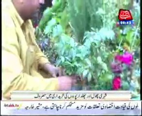 With the arrival of spring, people started buying fresh flowers