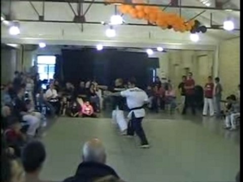 arts martiaux acrobatiques