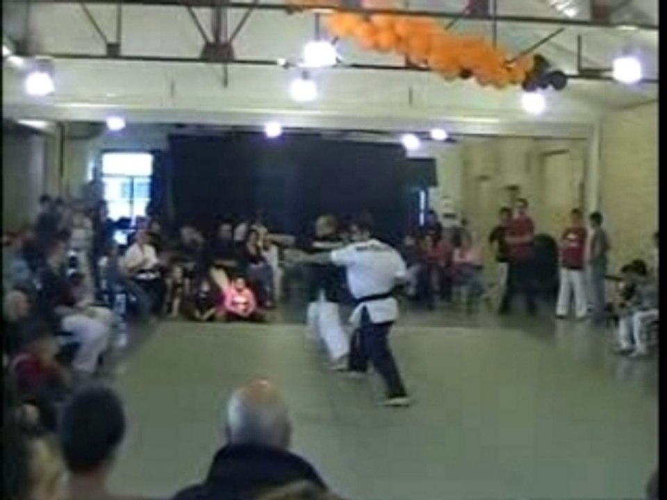 arts martiaux acrobatiques