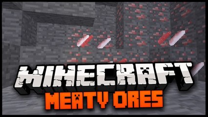 Download Video: Minecraft Mod Spotlight: MEATY ORE MOD 1.6.4 - MINECRAFT FOOD ORE!