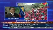 Seguiremos luchando por defender la paz en Venezuela: Jaua