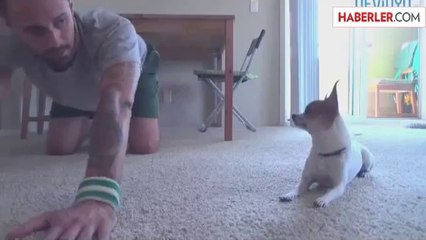 Sahibiyle Yoga Yapan Köpek