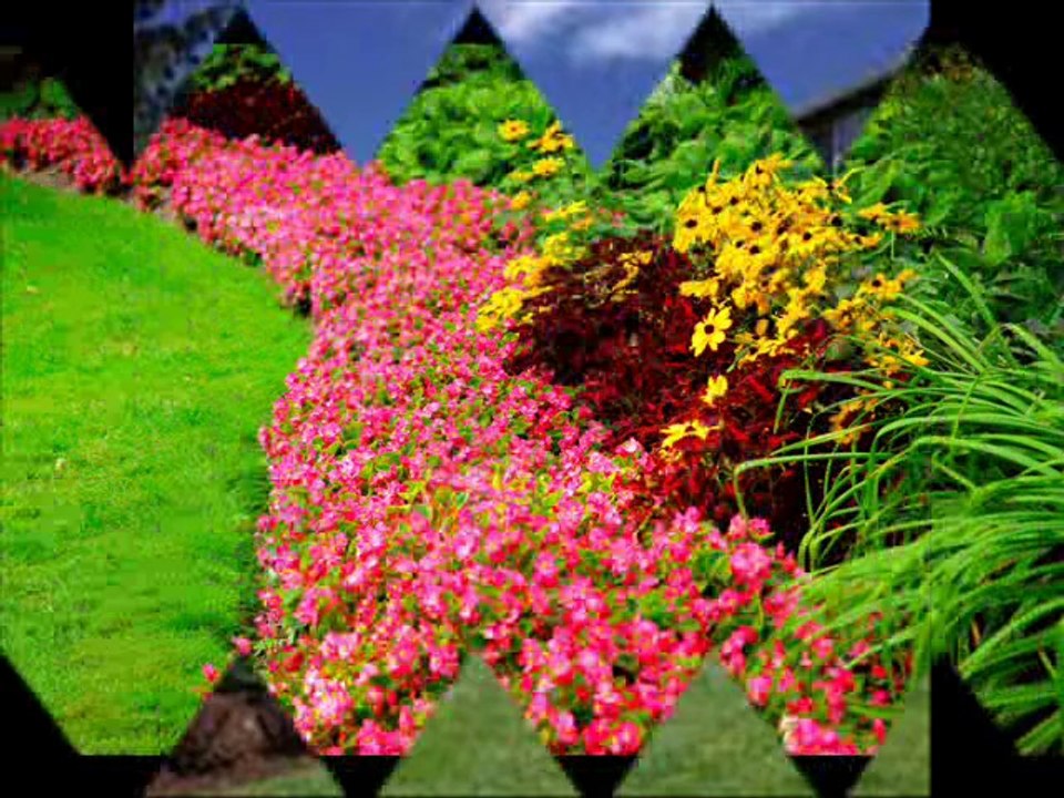 Royal Landscape Nursery