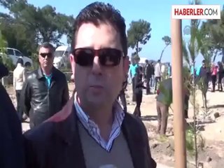 Milas'ta 2013'te 242 Hektar Ormanlık Alan Yandı