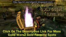 Simple Guild Wars 2 Gold Farming Spot 10 Gold An Hour