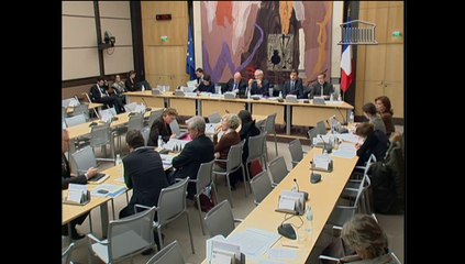 Audition de Mme Cécile Duflot, ministre, sur l'ordonnance logement intermédiaire - Mardi 18 Février 2014