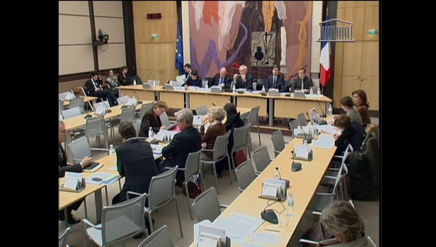 Audition de Mme Cécile Duflot, ministre, sur l'ordonnance logement intermédiaire - Mardi 18 Février 2014