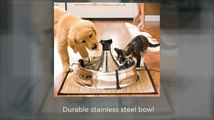 New Range of Pet Drinking Fountains at Vebo Pet Supplies