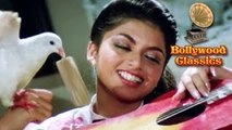 Kabootar Ja Ja Ja - Lata Mangeshkar & S. P. Balasubrahmanyam Best Duet - Cult Bollywood Hit Song