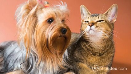 The Vineyards Apartments in Gilroy, CA - ForRent.com