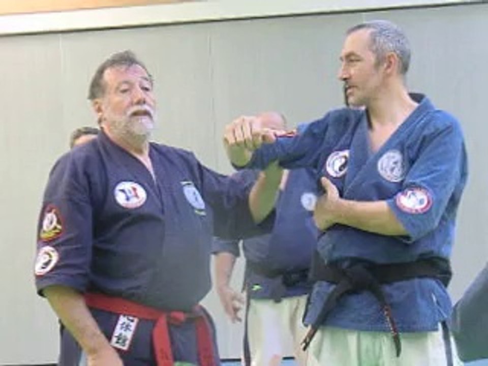 Travail du Kyusho-Jitsu sur le tronc avec yubibo par Jean-Paul BINDEL, Hanshi
