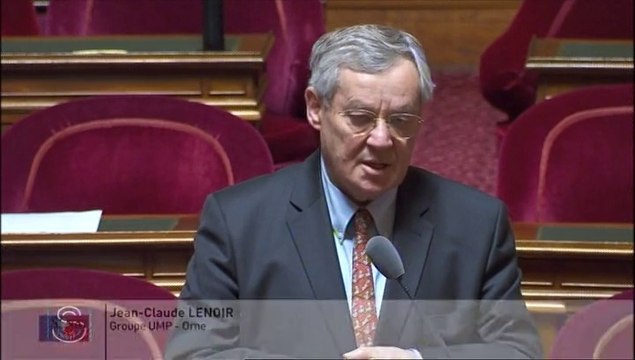 Inquiétudes de la filière bois : L'exportation massive des pieces de bois non équarries est à l'origine d'un formidable gâchis