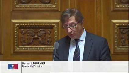 Institut pour enfants autistes à Saint-André-le-Puy : "Le travail de plusieurs années est remis en cause !"