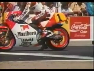 HURRY-SCUARY TOP-DOG OP THEME REACHING FOR THE SUN