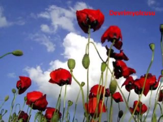 Akin Akin & Hüseyin Yavuz (Devrimyolcusu).wmv