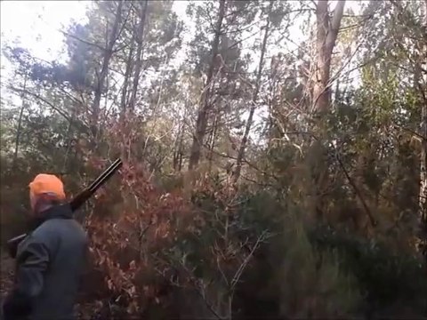 arrêt patron 5 setters