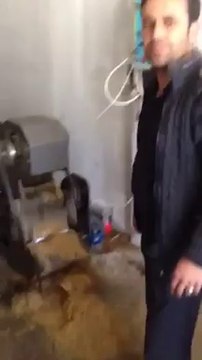 Adıyaman Tütünü, Çelikhan Tütünü,adıyaman tütünü, Zeynal ÇELENK 0507 399 86 00 adiyamantutunusatisi.com