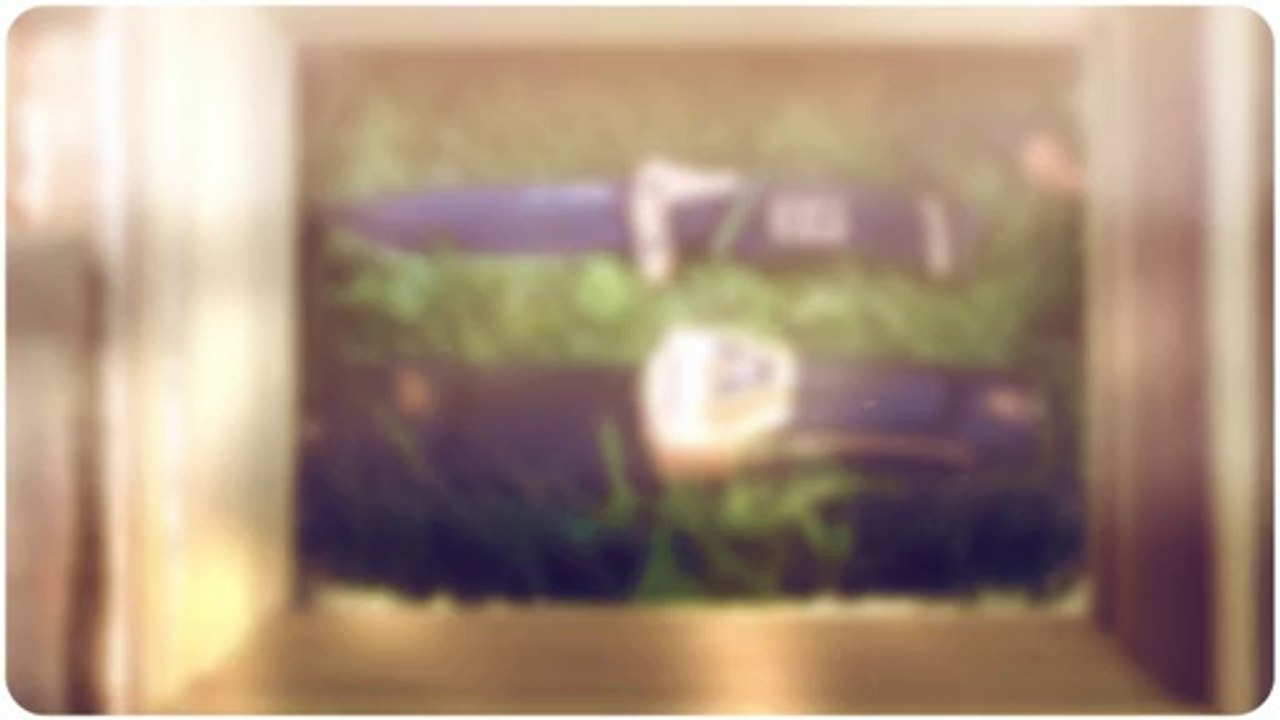 Survival Blog