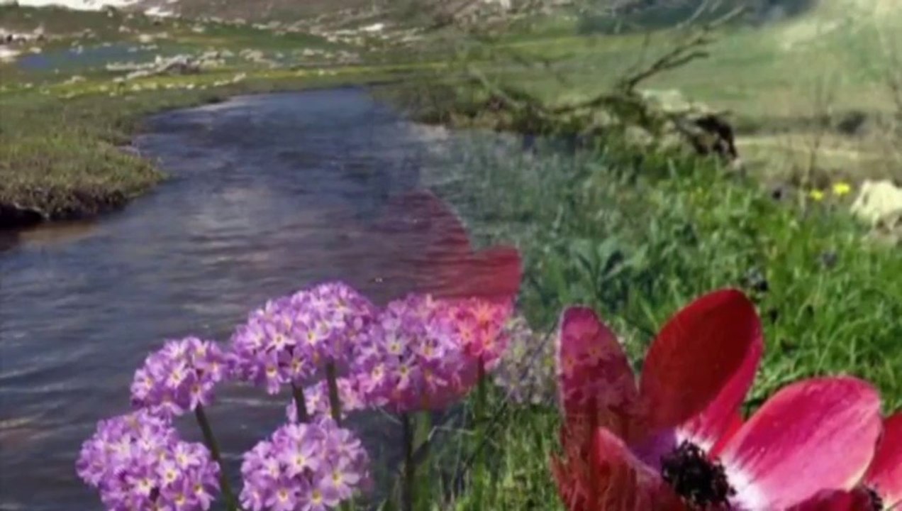 Gulistan Perwer- Kurdistanê Kurdistan