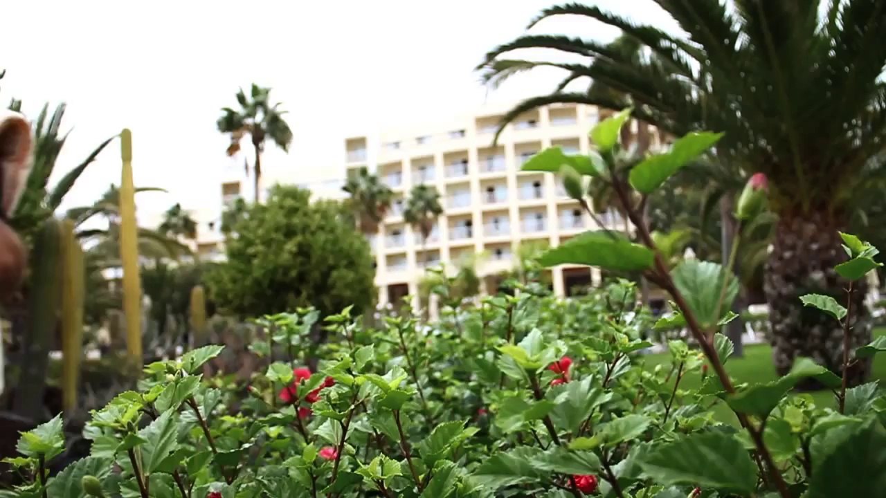 ClubHotel Riu Gran Canaria - Hotel in Gran Canaria Spanien RIU Hotels RIU Palace RIU ClubHotels