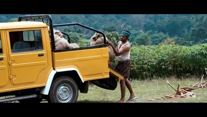 Kattu Mooliyo Official Video Song Ohm Shanthi Oshaana