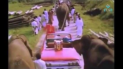 Kollywood Comedy Scenes - Sathyaraj Special