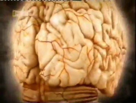 Percepcion de caras: Vision periferica