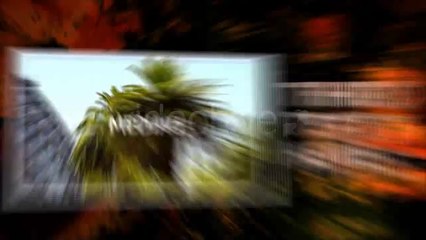 Promo Logo Fire - After Effects Template