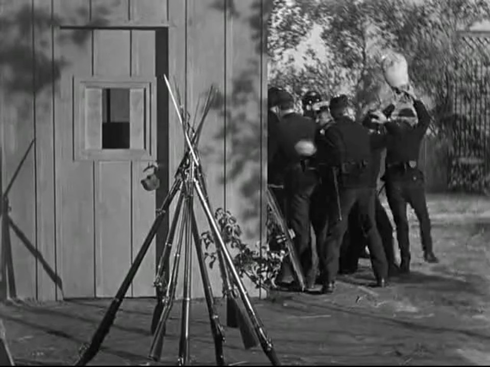 uncivil war birds_xvid